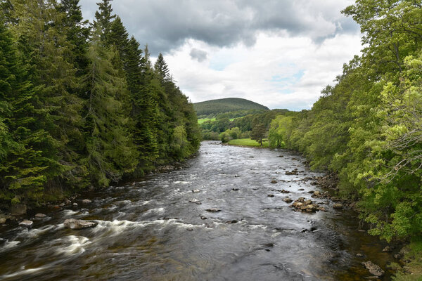 Mountain river flowing through an green wooded valley on a cloudy summer day. Aberdeenshire, Scotland, UK.