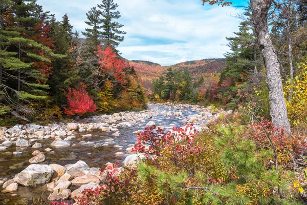 River Winding Its Way Forested Mountains Peak Fall Foliage Partly — Stock Photo, Image