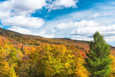 Güneşli bir sonbahar gününde sonbahar yapraklarının zirvesinde yaprak döken ağaçlarla kaplı dağlar. Stowe, VT, ABD.