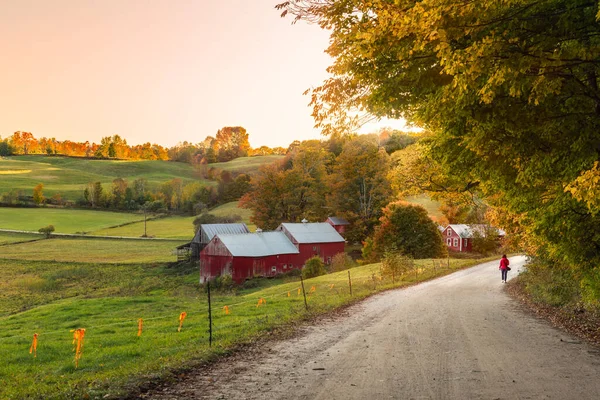 Woman walking along a gravel road in the countryside at sunset. A farm is visible in background. Stunning autumn colours. Woodstock, VT, United States.
