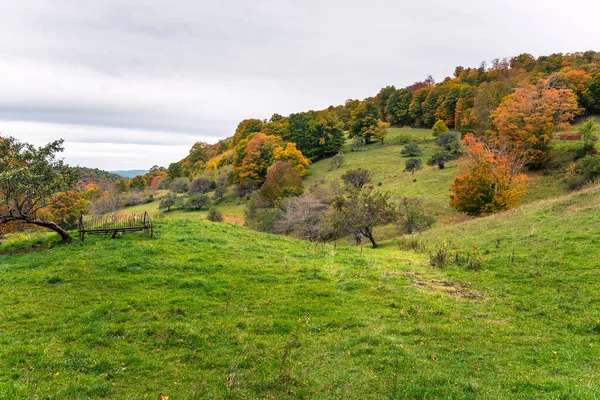Landschaftliche Landschaft Mit Bewaldeten Hügeln Hintergrund Einem Bewölkten Herbsttag Schöne — Stockfoto