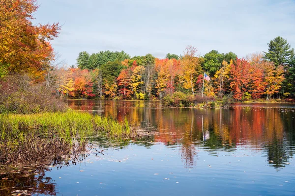 Bosque Colorido Largo Orilla Río Una Clara Mañana Otoño Impresionante — Foto de Stock