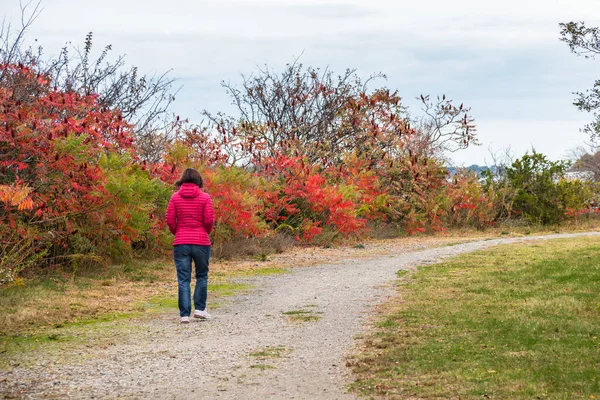 Woman walking alone on a gravel path in a public park on a cloudy autumn day. Autumn colours. Concept of loneliness. Boston, MA, USA.