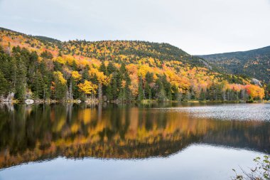 Bulutlu bir günde bir dağ gölünün etrafında sonbahar renkleri. Saco Lake, Crawford Notch, NH, ABD.