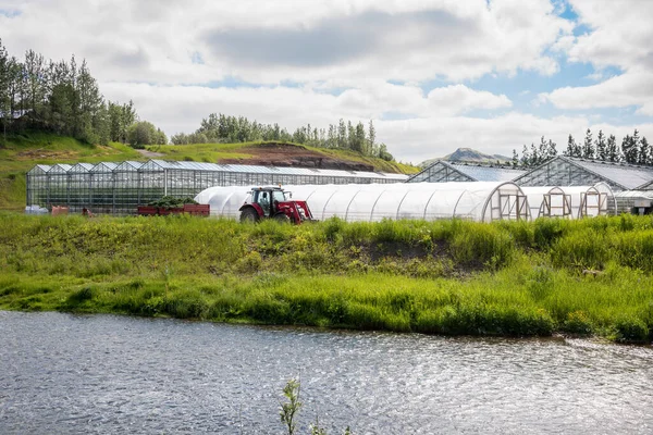 Γεωθερμικά Θερμοκήπια Δίπλα Στο Ποτάμι Για Παραγωγή Λαχανικών Στην Ισλανδία — Φωτογραφία Αρχείου