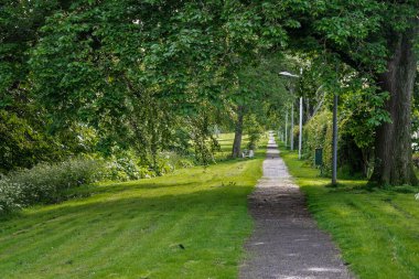 Güneşli bir yaz gününde halka açık bir parkta ağaçlar ve sokak lambalarıyla dolu ıssız bir yol. Thurso, İskoçya, İngiltere.