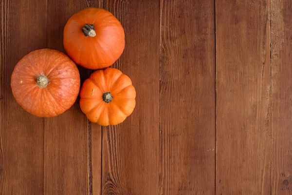 View Form Small Pumpkins Wooden Background Copy Space Selective Focus — Stock Photo, Image