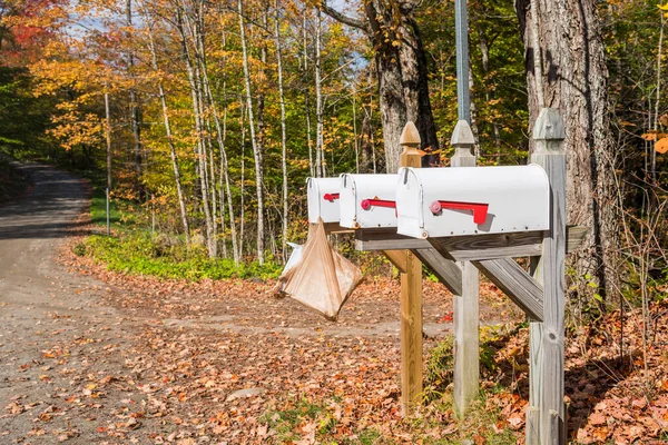 Rad Med Brevlådor Skogsväg Solig Höstmorgon Höstfärger Groton State Forest — Stockfoto