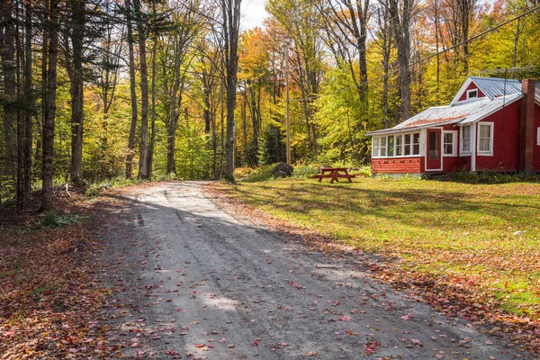 Woodedn Cottage Dirt Road Forest Sunny Autumn Morning Beautiful Fall — Stock Photo, Image