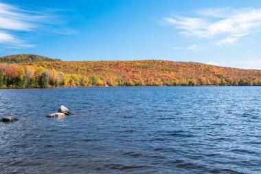 Açık bir sabahta, sonbahar renklerinin zirvesinde ağaçlık kıyıları olan güzel bir göl. Groton Eyalet Ormanı, VT, ABD.
