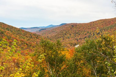 Bulutlu bir sabahta, sonbahar yapraklarının zirvesinde güzel, ağaçlık bir dağ manzarası. Pinkham Notch, NH, ABD.