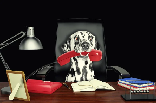 Roztomilý Dalmatin pes sedí na koženém křesle s telefonem v jeho ústech. Izolované na černé — Stock fotografie