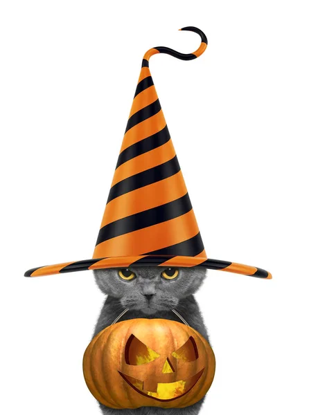 Lindo gato en sombrero divertido celebrar la calabaza de halloween en la boca - aislado sobre fondo blanco — Foto de Stock