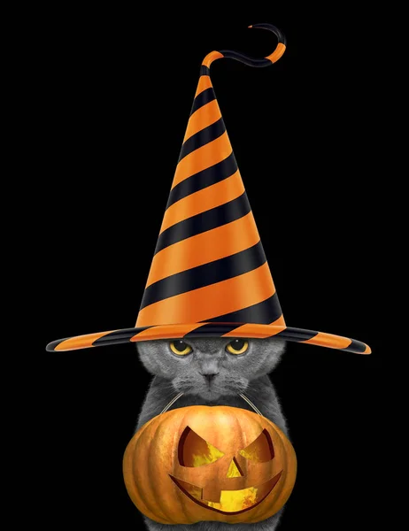 Lindo gato en divertido sombrero celebrar halloween calabaza en la boca aislado en negro — Foto de Stock