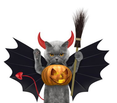 Şirin kedi komik şapkalı beyaz izole ağız - Cadılar Bayramı Balkabağı hold