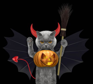 Şirin kedi komik şapkalı siyah izole ağız - Cadılar Bayramı Balkabağı hold