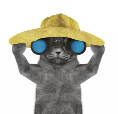 Şirin kedi arıyorum ve dürbünlü--beyaz izole gözlemleyerek bir şapkalı