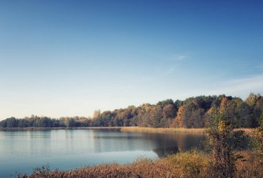 Sonbahar manzara. Sonbahar parlak renkler göl kenarında parkta.