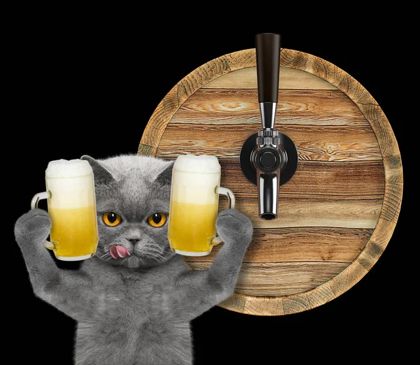 Gato bonito com um copo de cerveja e barril. isolado em preto — Fotografia de Stock