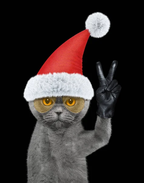 Gato de Papai Noel com dedos vitória. Isolado em preto — Fotografia de Stock