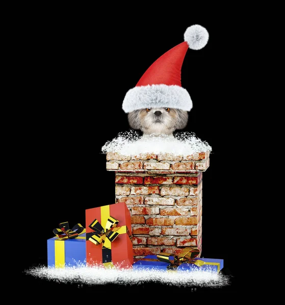 Glücklicher Shitzu-Weihnachtsmann-Hund klettert aus Schornstein. isoliert auf schwarz — Stockfoto