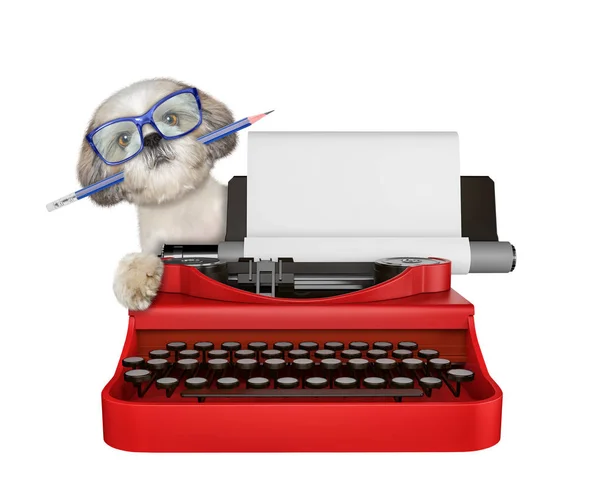 Shitzu perro está escribiendo en un teclado de máquina de escribir. Aislado sobre blanco —  Fotos de Stock
