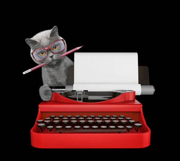 Cute cat is typing on a typewriter keyboard. Isolated on black — Stock Photo, Image