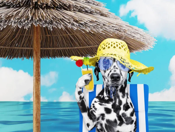 Cute dalmatian dog resting and relaxing on the beach chair under umbrella with juice at the beach ocean shore, on summer vacation holidays. 3d render — Stock Photo, Image