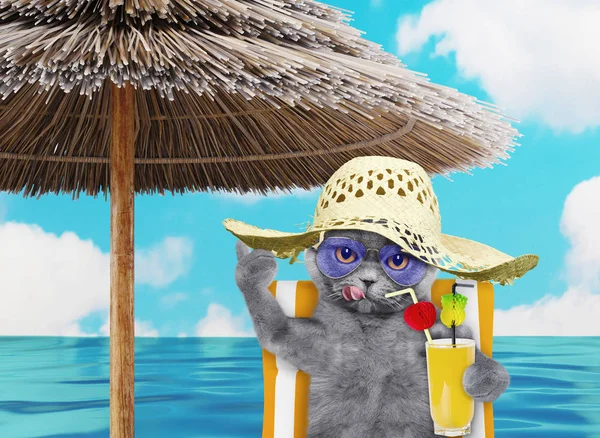 Cute cat resting and relaxing on the beach chair under umbrella with juice at the beach ocean shore, on summer vacation holidays. 3d render — Stock Photo, Image