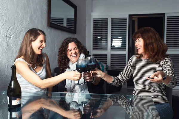 Group of friends toasting wine glasses and having fun together