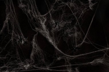 Cadılar Bayramı için örümcek ağında küçük oyuncak örümcekler