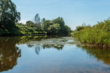 Bir köyde güneşli bir yaz gününde Nehir