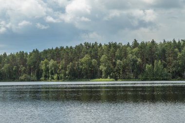 Yeşil bankalar ile pitoresk nehir 