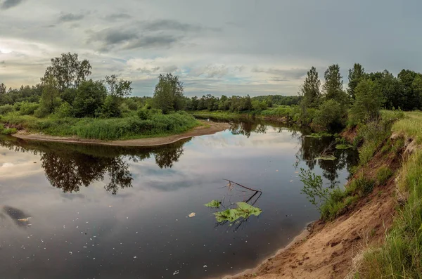 Берег реки с зеленой растительностью под облачным небом — стоковое фото