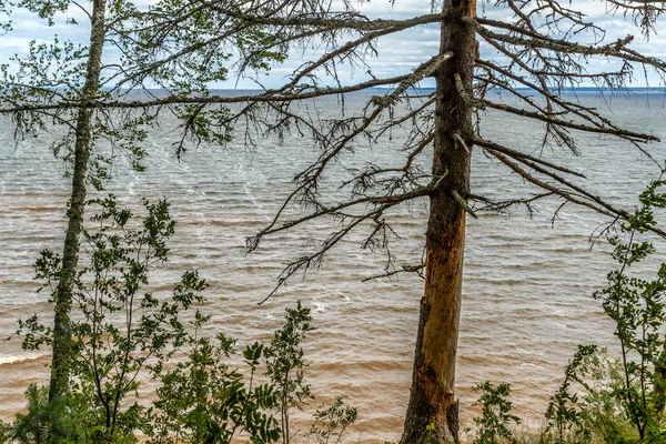 Widok na rzekę Wołgę w letni dzień ze stromych banków — Zdjęcie stockowe