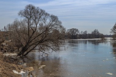 Rusya'da kırsal bir nehir üzerinde yüksek su