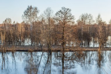 Rusya'da Mart ayında yüksek su sırasında nehir kıyısı ve orman sular altında