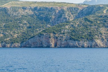 Güneşli bir günde yeşil bitkiler ile uzun kayalık sahil