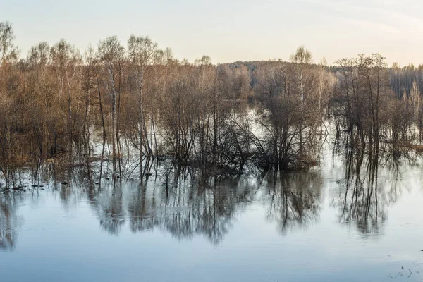 Flodbanken och skogen översvämmade under högvatten i centrala Ryssland — Stockfoto