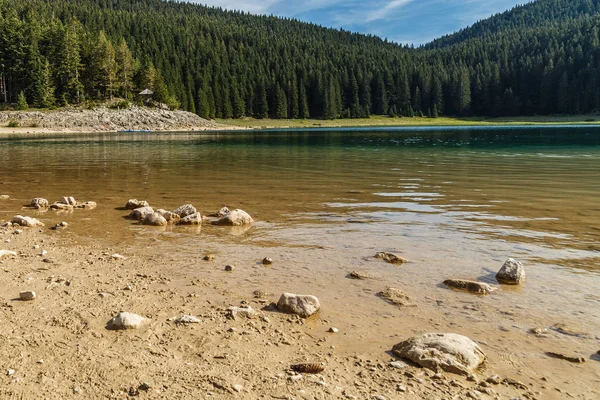 Górskie jezioro na tle zalesionego stoku — Zdjęcie stockowe