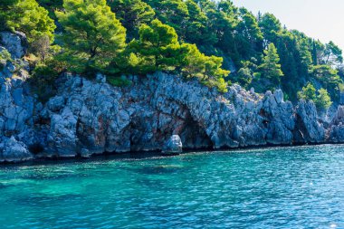 deniz kıyısı, üzerlerinde su ve bitki örtüsü ile yıkanmış kayalar