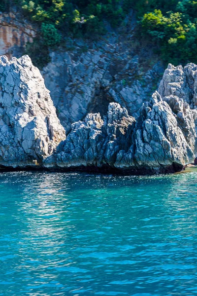 Seashore, rocks washed by water and vegetation on them — Stock Photo, Image