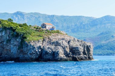 deniz kıyısı, üzerlerinde su ve bitki örtüsü ile yıkanmış kayalar