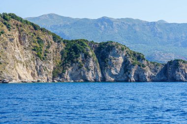 deniz kıyısı, üzerlerinde su ve bitki örtüsü ile yıkanmış kayalar