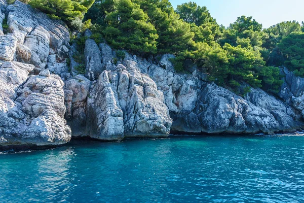 deniz kıyısı, üzerlerinde su ve bitki örtüsü ile yıkanmış kayalar
