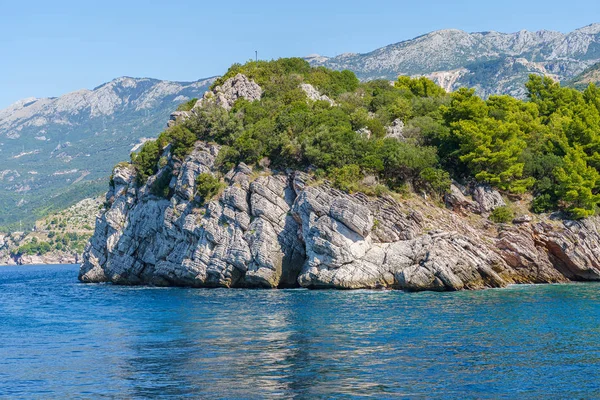 Littoral, rochers lavés par l'eau et la végétation sur eux — Photo