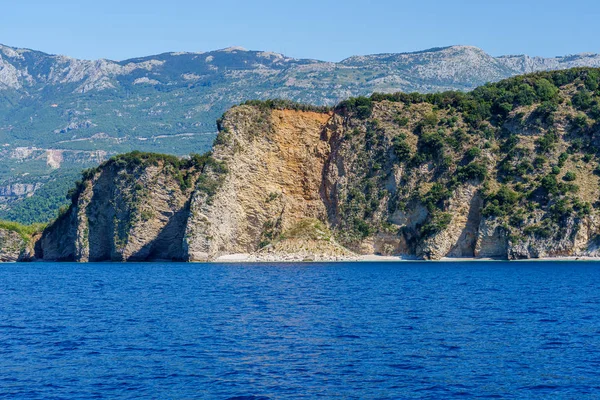 Strand, stenar som tvättas med vatten och vegetation på dem — Stockfoto