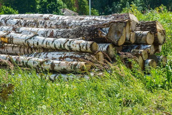 hardwood tree trunks stacked