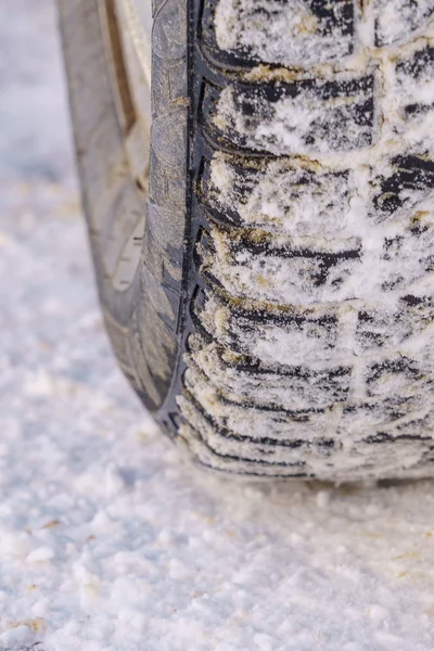 Tire for winter with spikes and its imprint on the road