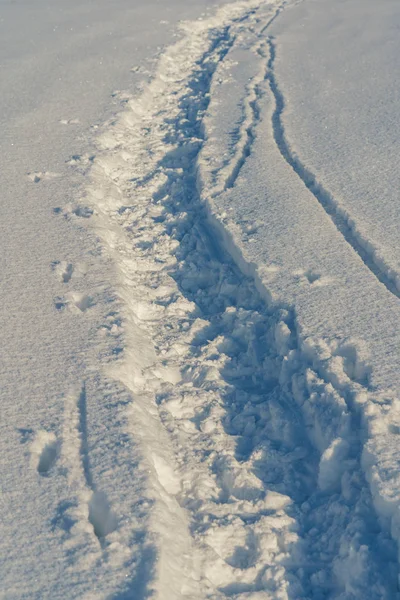Karlı bir tarlada yol, kırsal alan — Stok fotoğraf